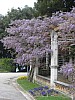 IMG_1037.jpg